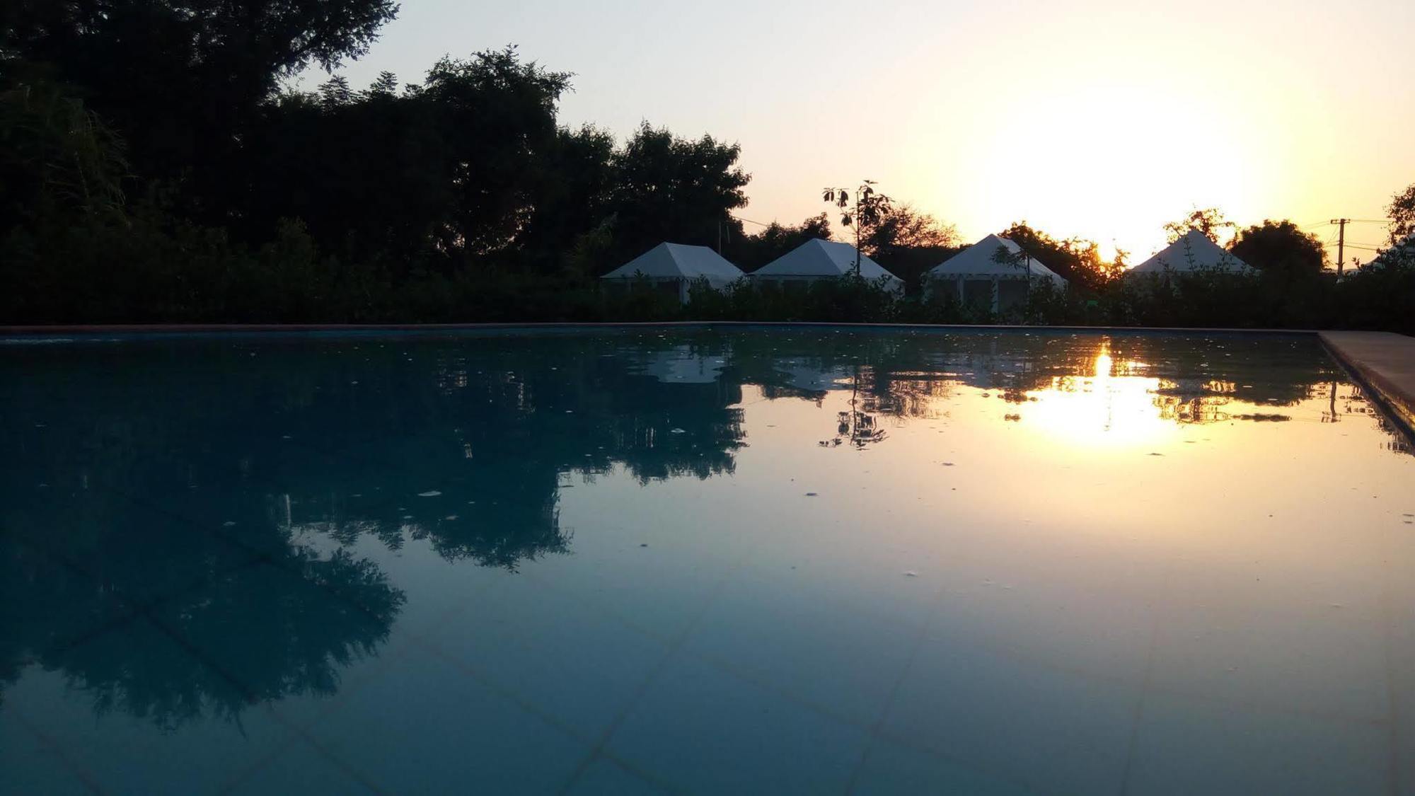 The Narayan Resort Farm Stay Pushkar Exteriör bild